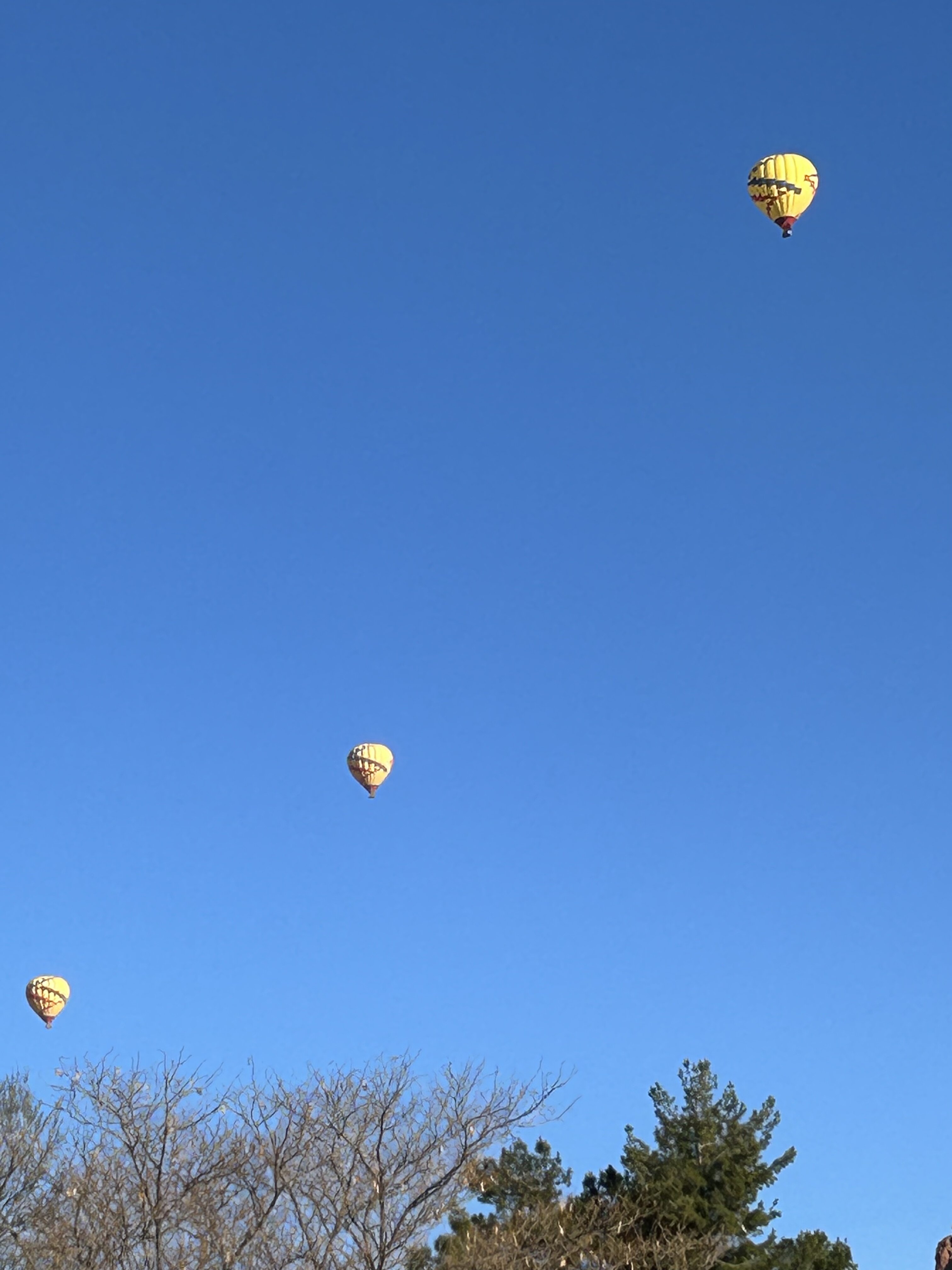 Red rock formations with a hot air balloon visible in Sedona